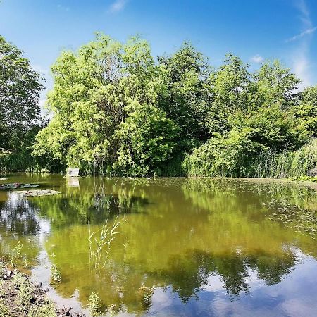 Holiday Home Sibo - 1-5Km From The Sea In Lolland- Falster And Mon By Interhome Stege Exteriör bild